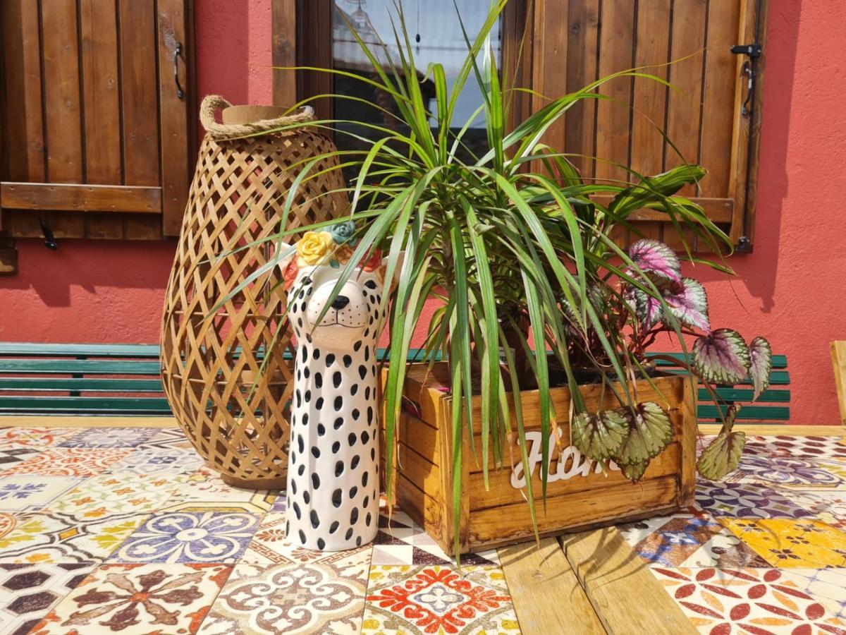Willa El Jardin De Gala Castejon de Monegros Zewnętrze zdjęcie